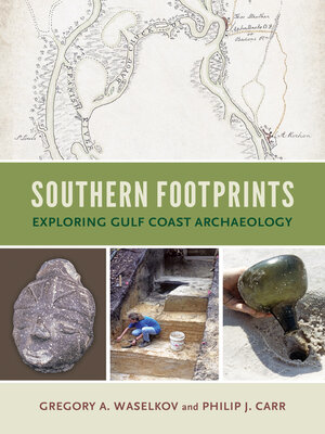 cover image of Southern Footprints